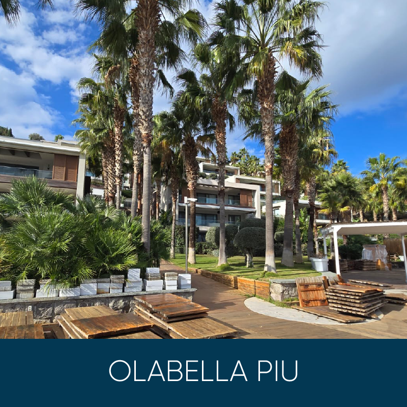 Olabellapiu 01