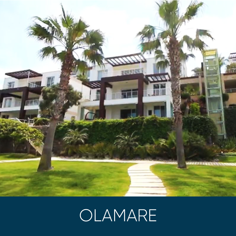 Olamare 01