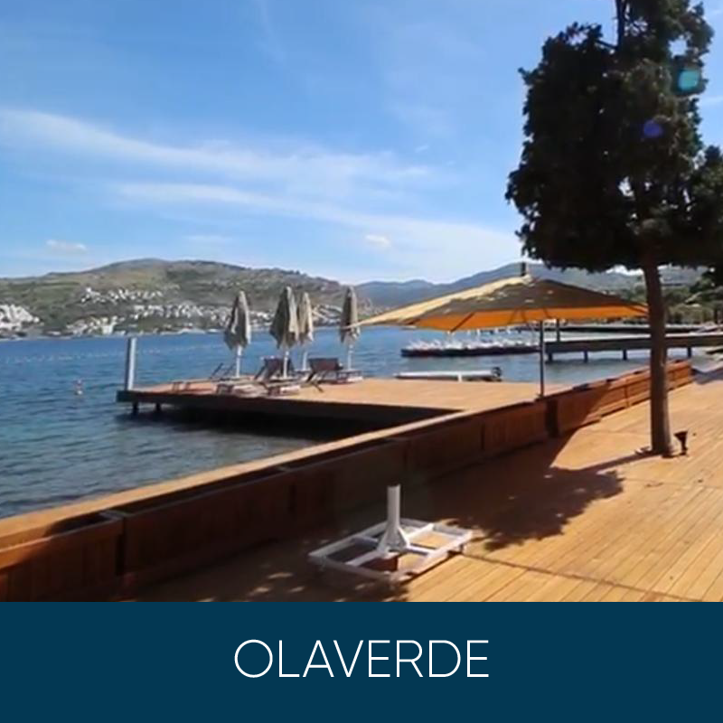 Olaverde 02