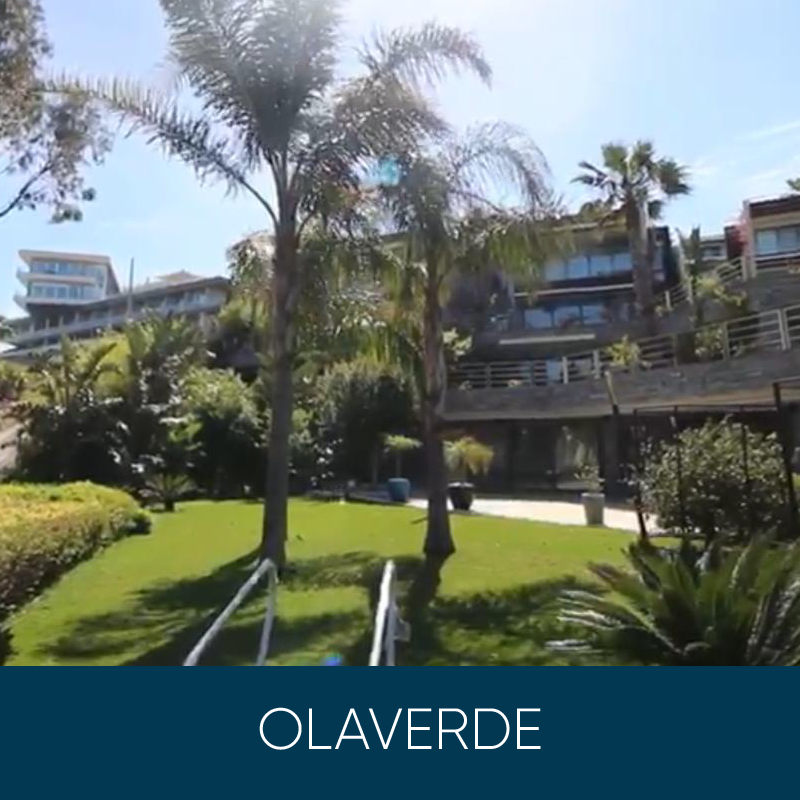 Olaverde 03